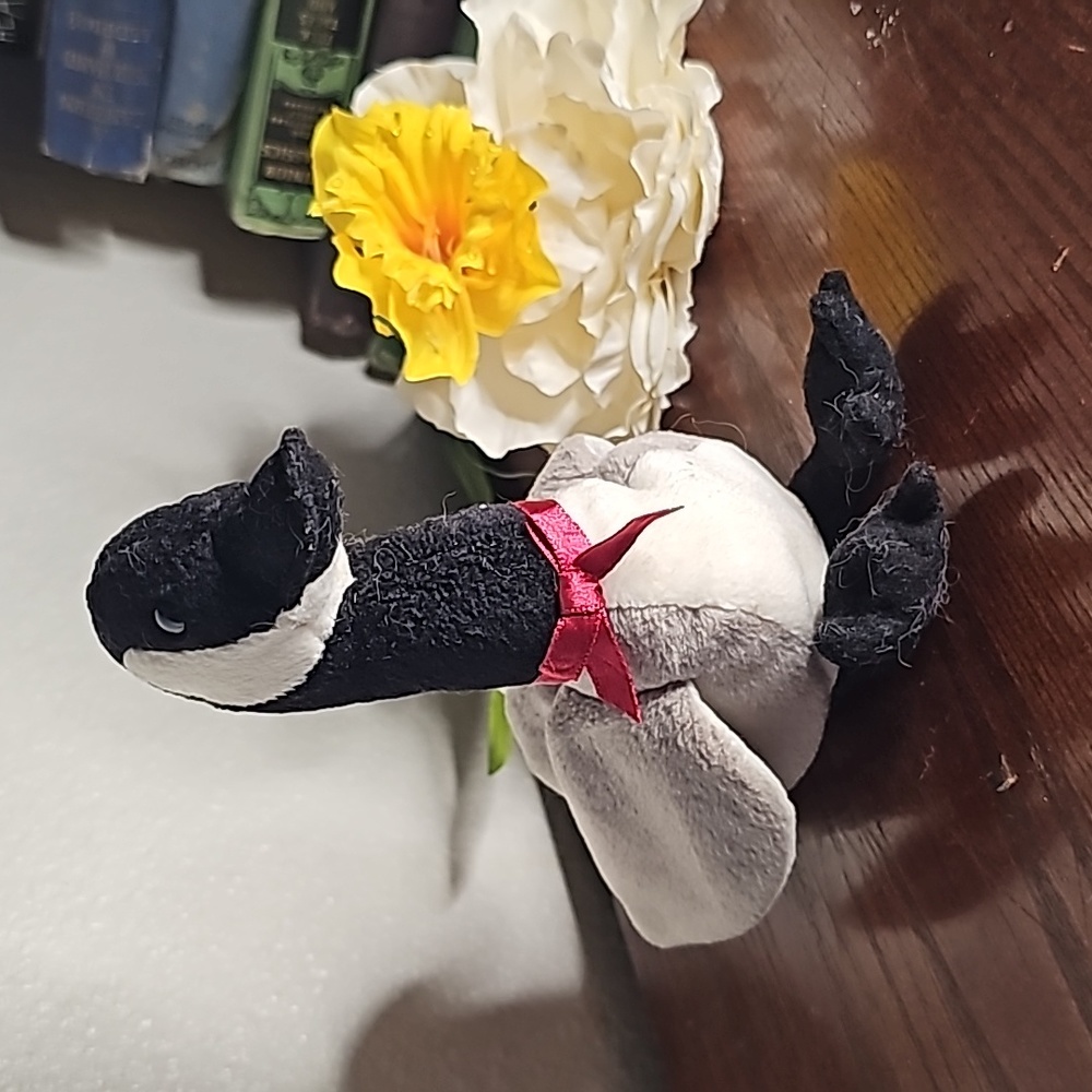 Ty Beanie Baby Loosy, March 29th, 1998